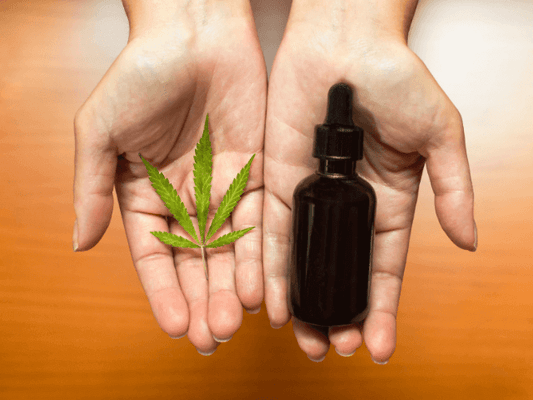 le meilleur moment de la journée pour prendre du CBD