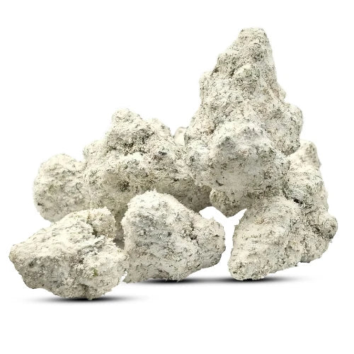 AMNESIA SNOW BALL BUD - Stormrock