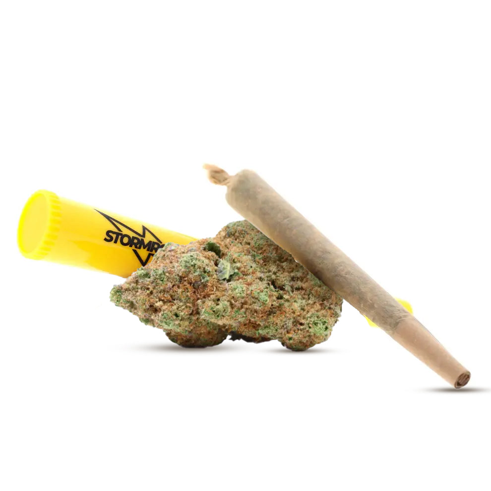 Pré-roll Amnesia - Stormrock