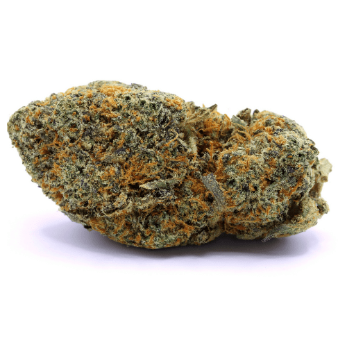 Amnesia 2,0 - CALIBOX - Stormrock