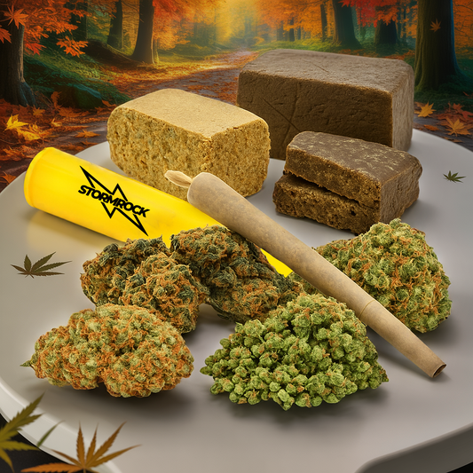 PACK AUTOMNE CBD - Stormrock