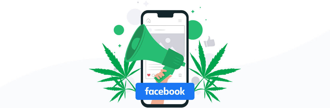 Publicité de CBD autorisé sur Facebook !