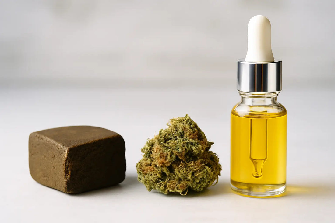 Hash californien vs CBD: la vraie différence