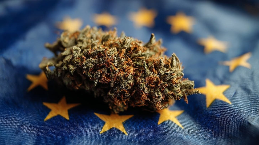 CBD et législation 2025 en Europe et en France