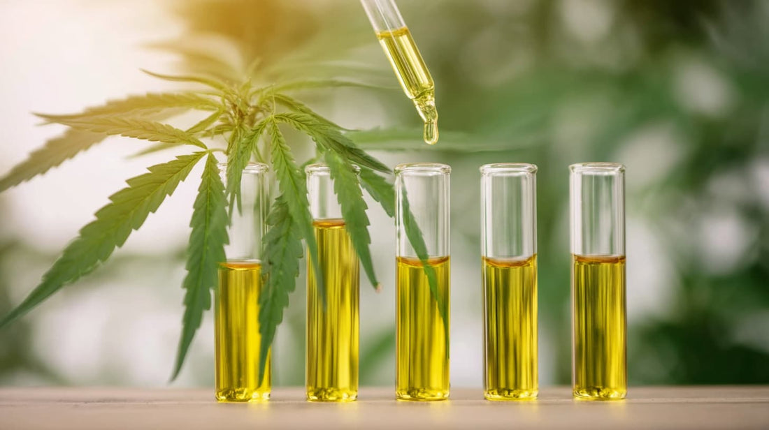 différences en huile cbd full spectrum et broad spectrum