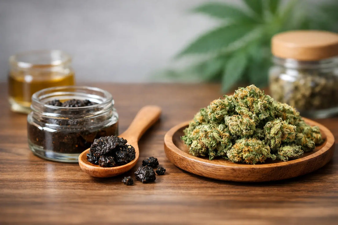 Résine CBD vs fleurs CBD: que choisir ?