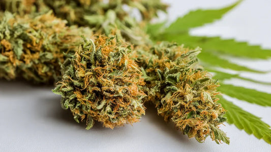 Quels sont les effets du CBD sur ton corps et ton esprit ?