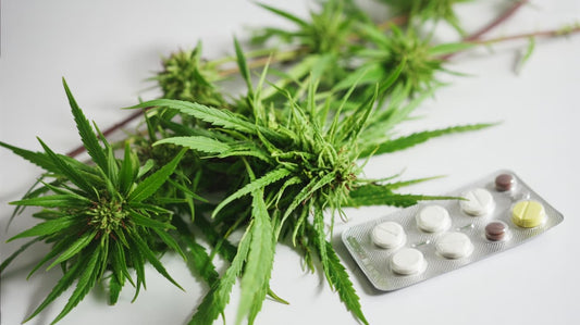 cbd et médicaments