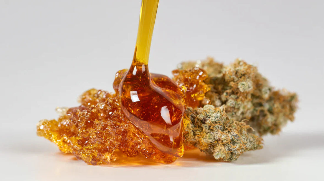 rosin sur une fleur de CBD