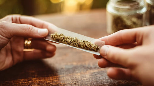 rouler du CBD sans tabac