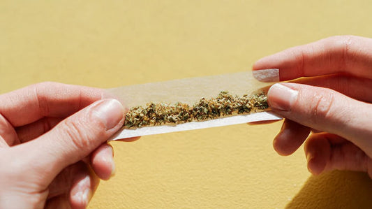 roulage de joint CBD sans tabac