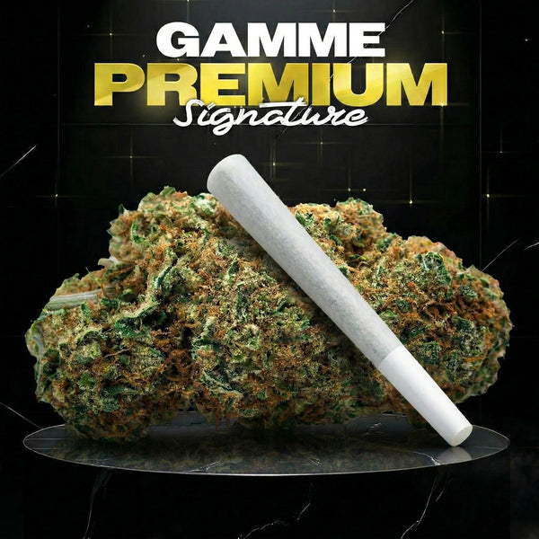 PRÉ-ROLL TROPICAL HAZE - SIGNATURE - Stormrock