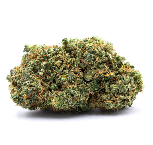 AMNESIA HAZE (🇳🇱AMSTERDAM GENETICS)