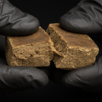 5x FILTRÉ - CALIFORNIA GENETICS - Stormrock