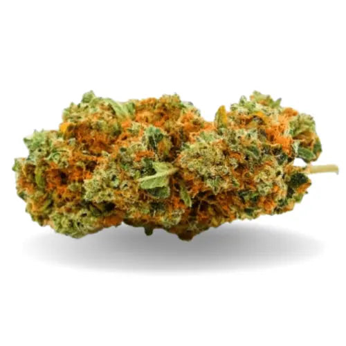 "GELATO - Stormrock"