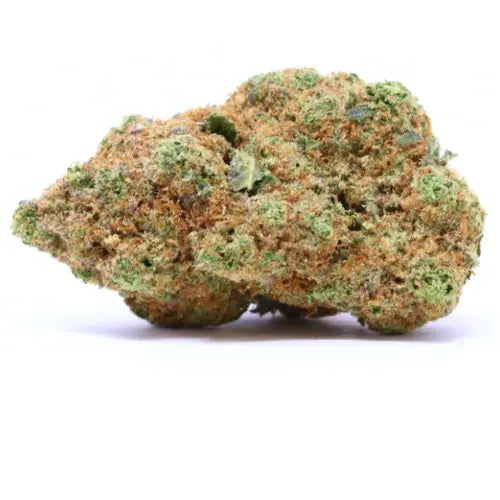 "AMNESIA - Stormrock"