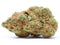 Amnesia 50g