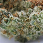 "WHITE WIDOW - Stormrock"