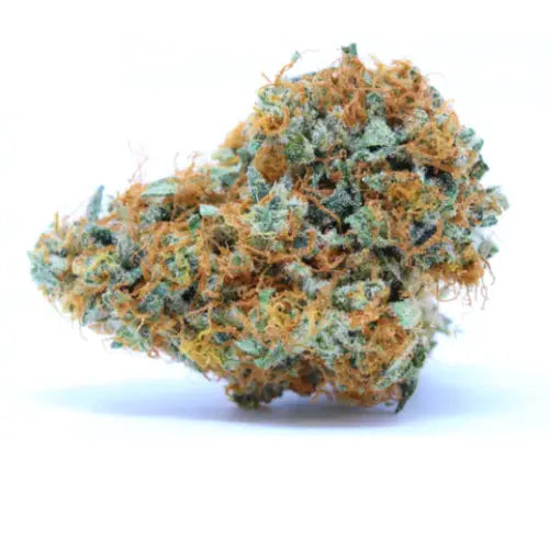 "ORANGE BUD - Stormrock"