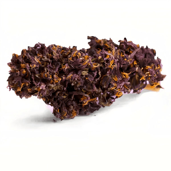 "PURPLE HAZE - Stormrock"