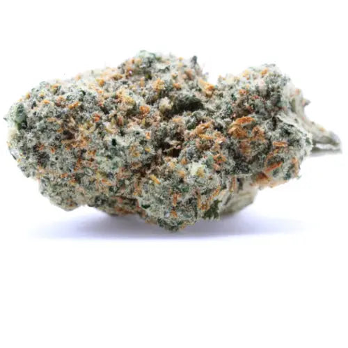 "OG KUSH - Stormrock"