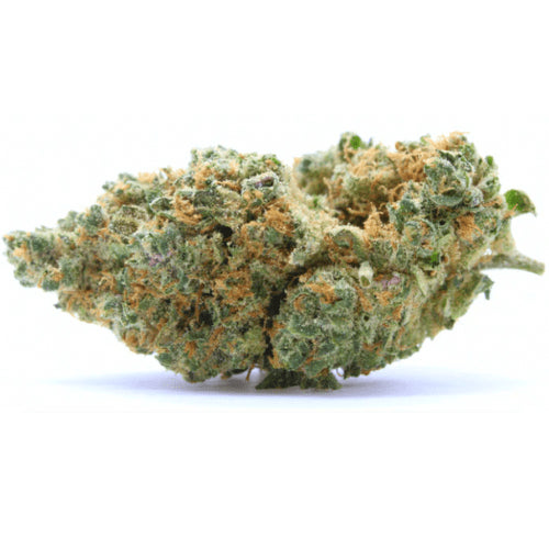 "AK-OG (Amsterdam Genetics) - Stormrock"