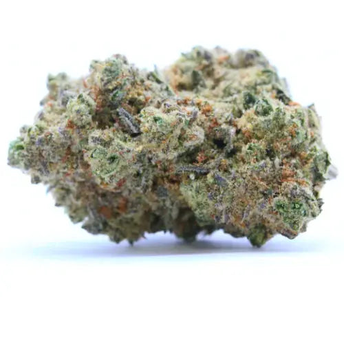 "GORILLA GLUE - Stormrock"