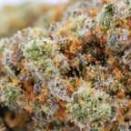 "BLUEBERRY DIESEL - Stormrock"