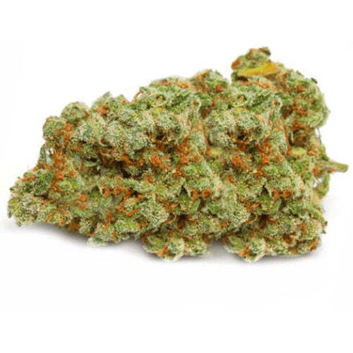 "GIRL SCOOT COOKIES - Stormrock"