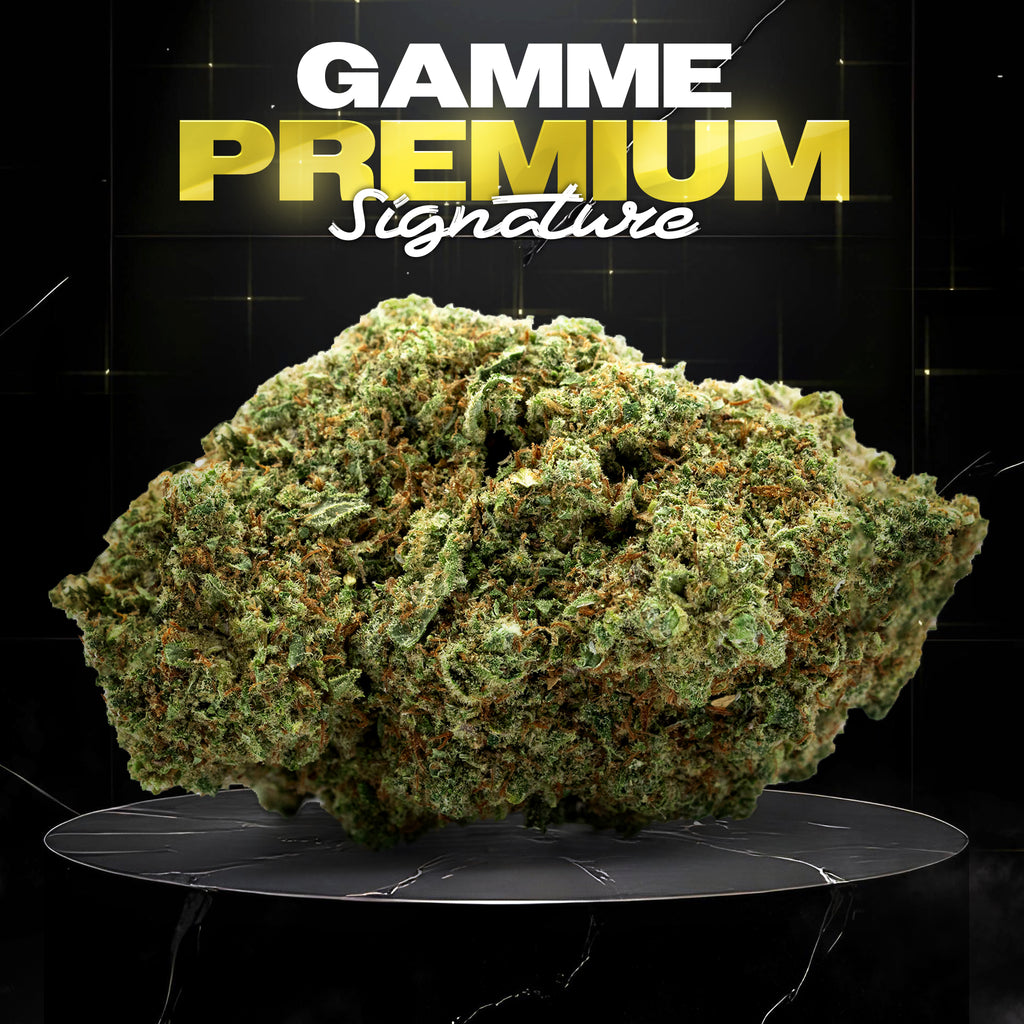 GORILLA GLUE #4 - Stormrock