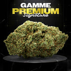 GORILLA GLUE #4 - Stormrock