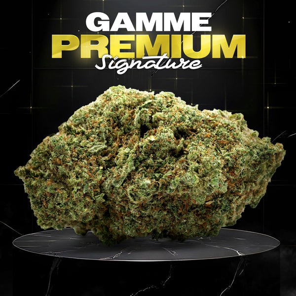 GORILLA GLUE #4 - Stormrock