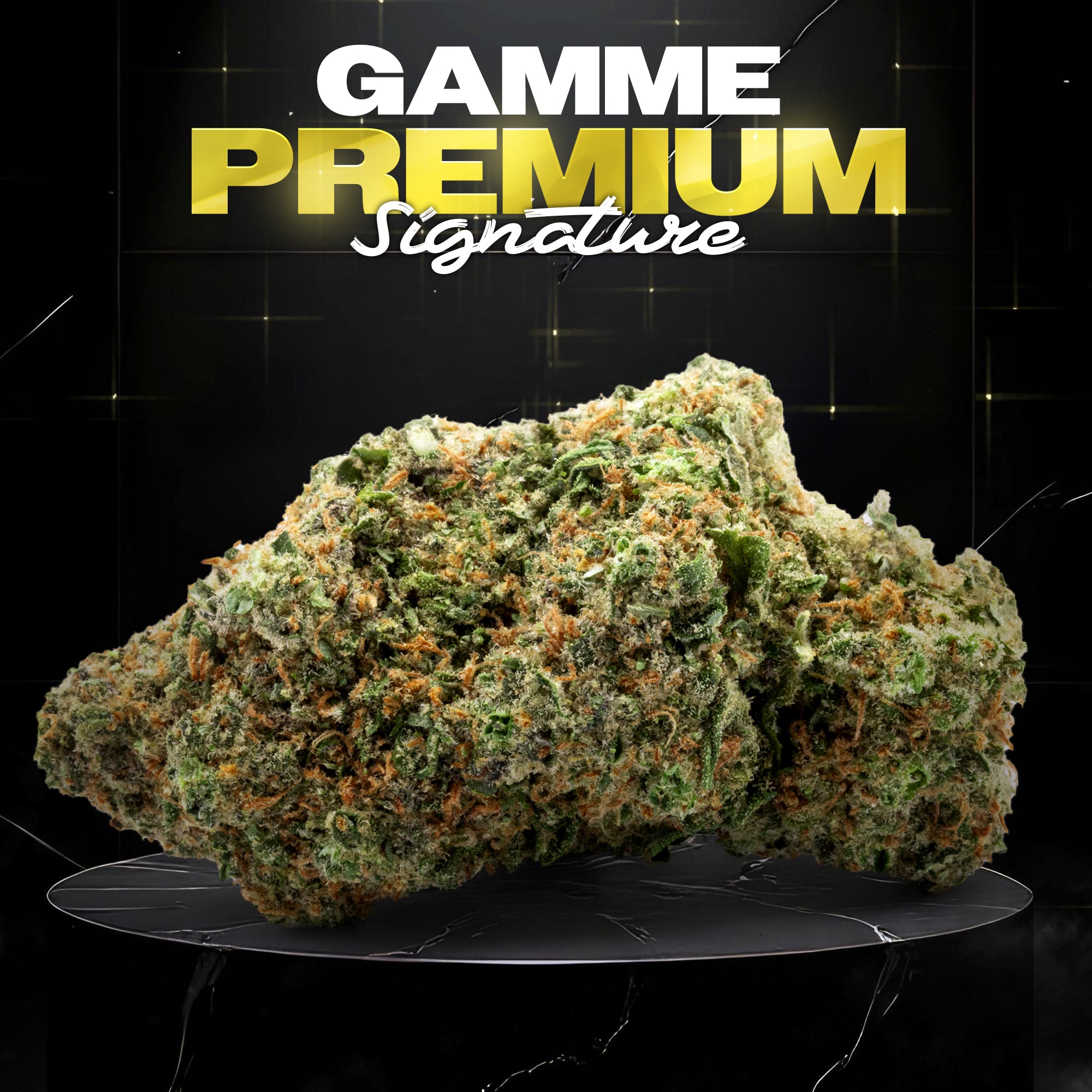 BUBBLE GUM (🇳🇱AMSTERDAM GENETICS) - Stormrock