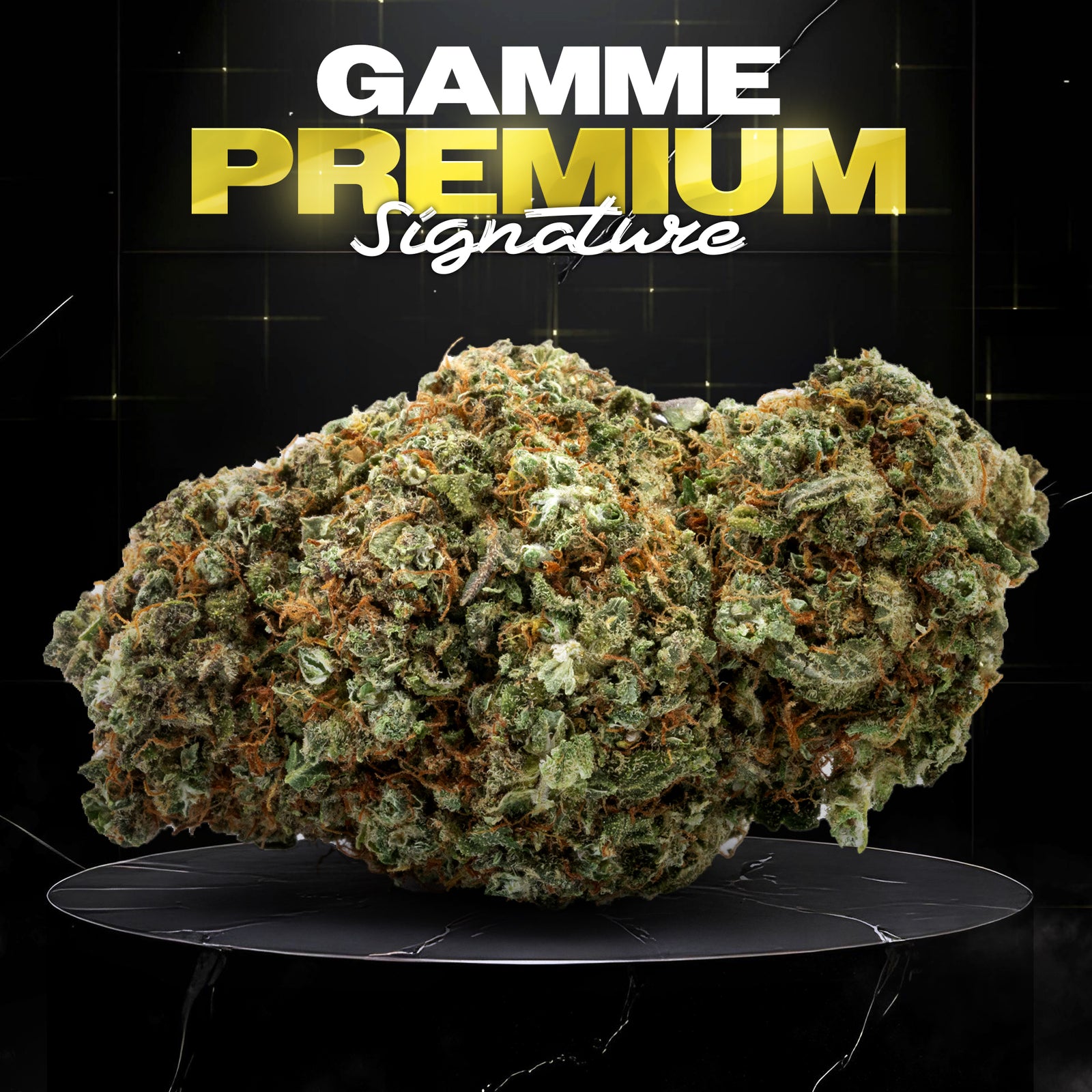 AMNESIA HAZE (🇳🇱AMSTERDAM GENETICS) - Stormrock