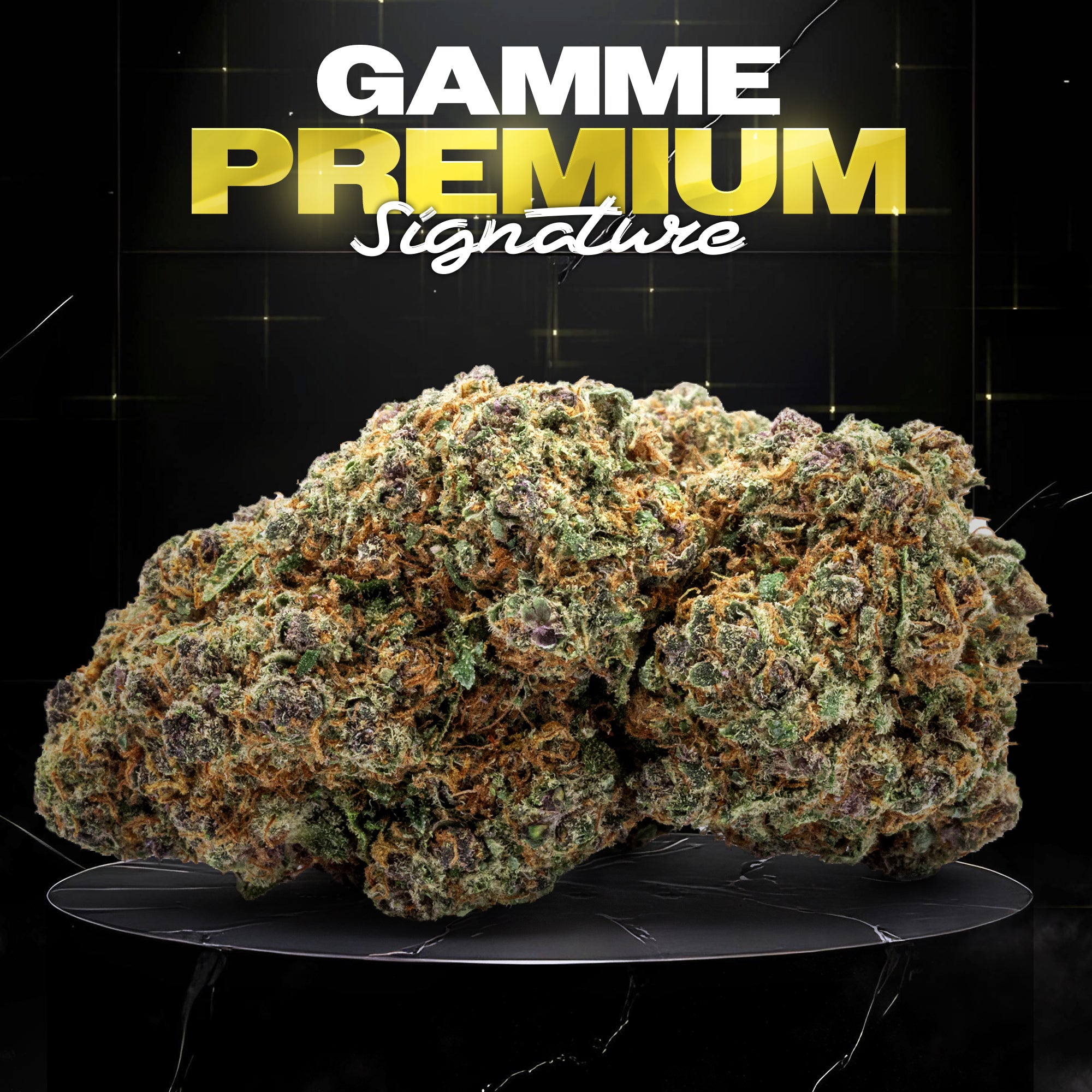 NORTHERN LIGHTS - Stormrock