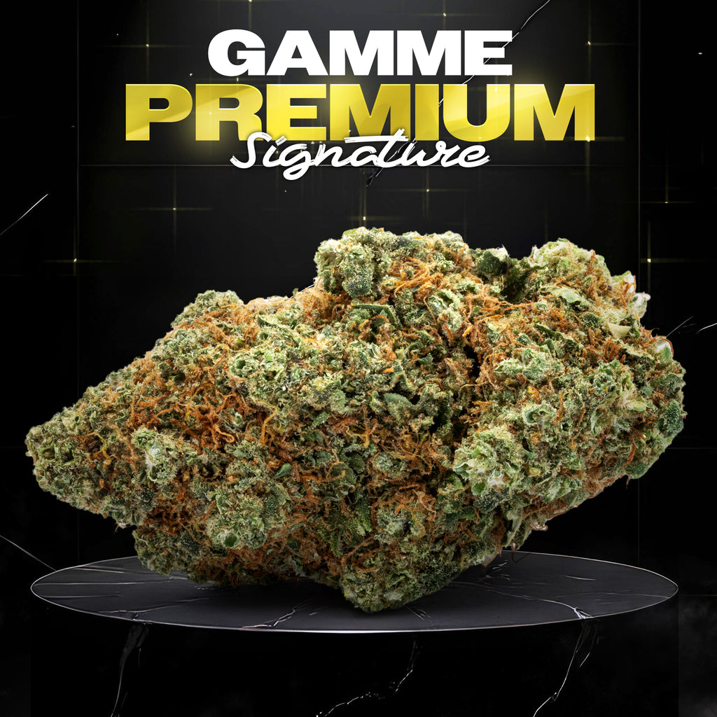 G13 HAZE - Stormrock