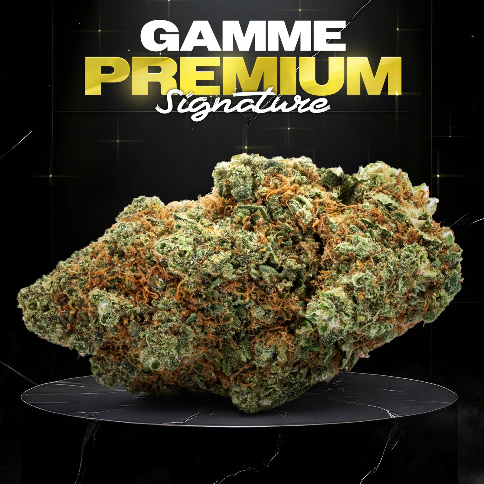 G13 HAZE - Stormrock