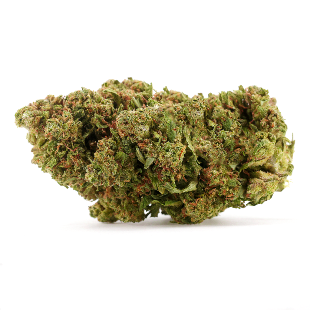 Maui Wowie (American Genetics) 🇺🇸 - Stormrock