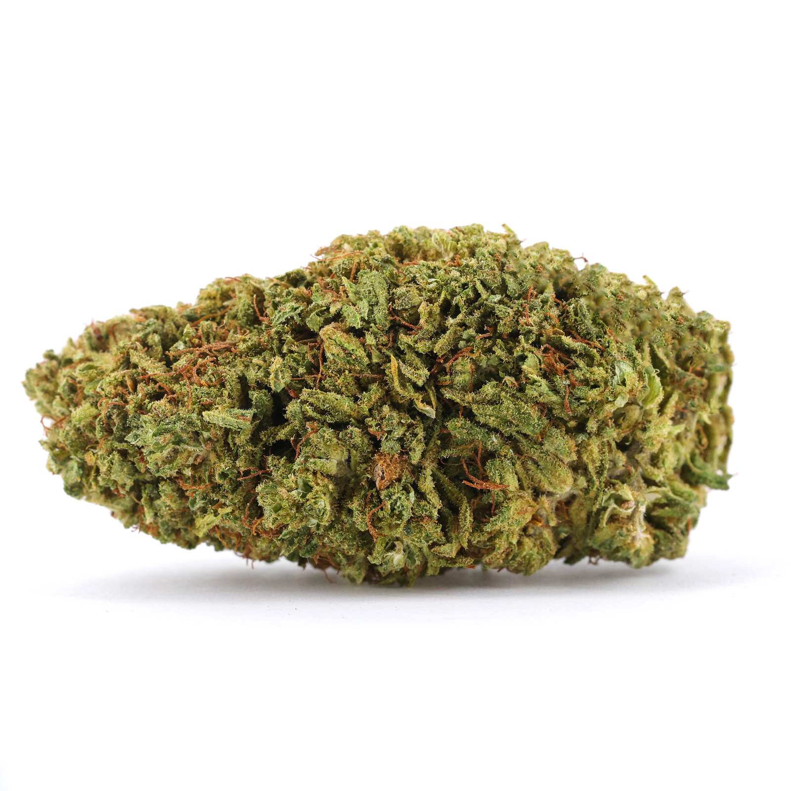 RS11 (American Genetics) 🇺🇸 - 15G OFFERT - Stormrock
