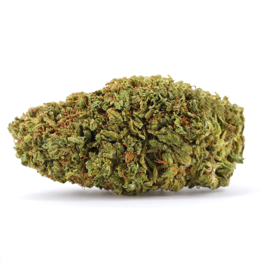 RS11 (American Genetics) 🇺🇸 - 15G OFFERT - Stormrock
