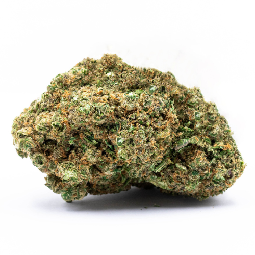 BUBBLE GUM (🇳🇱AMSTERDAM GENETICS)