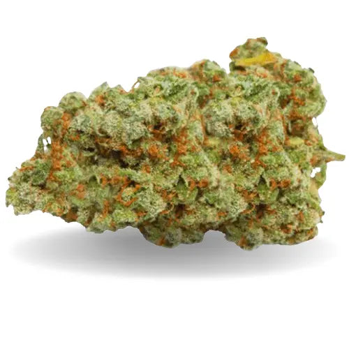 GIRL SCOOT COOKIES - Stormrock