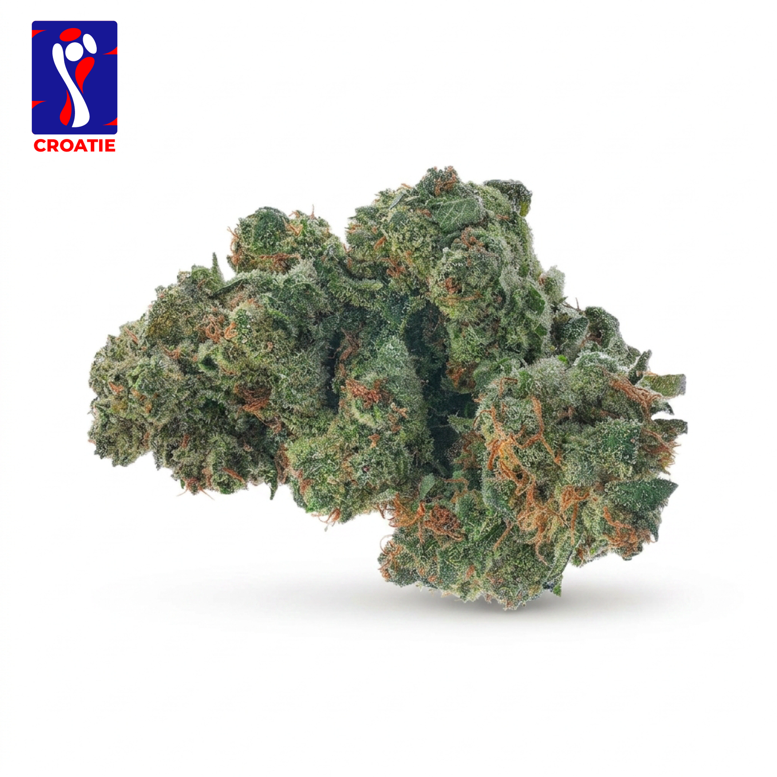 COASTAL KUSH - CROATIE