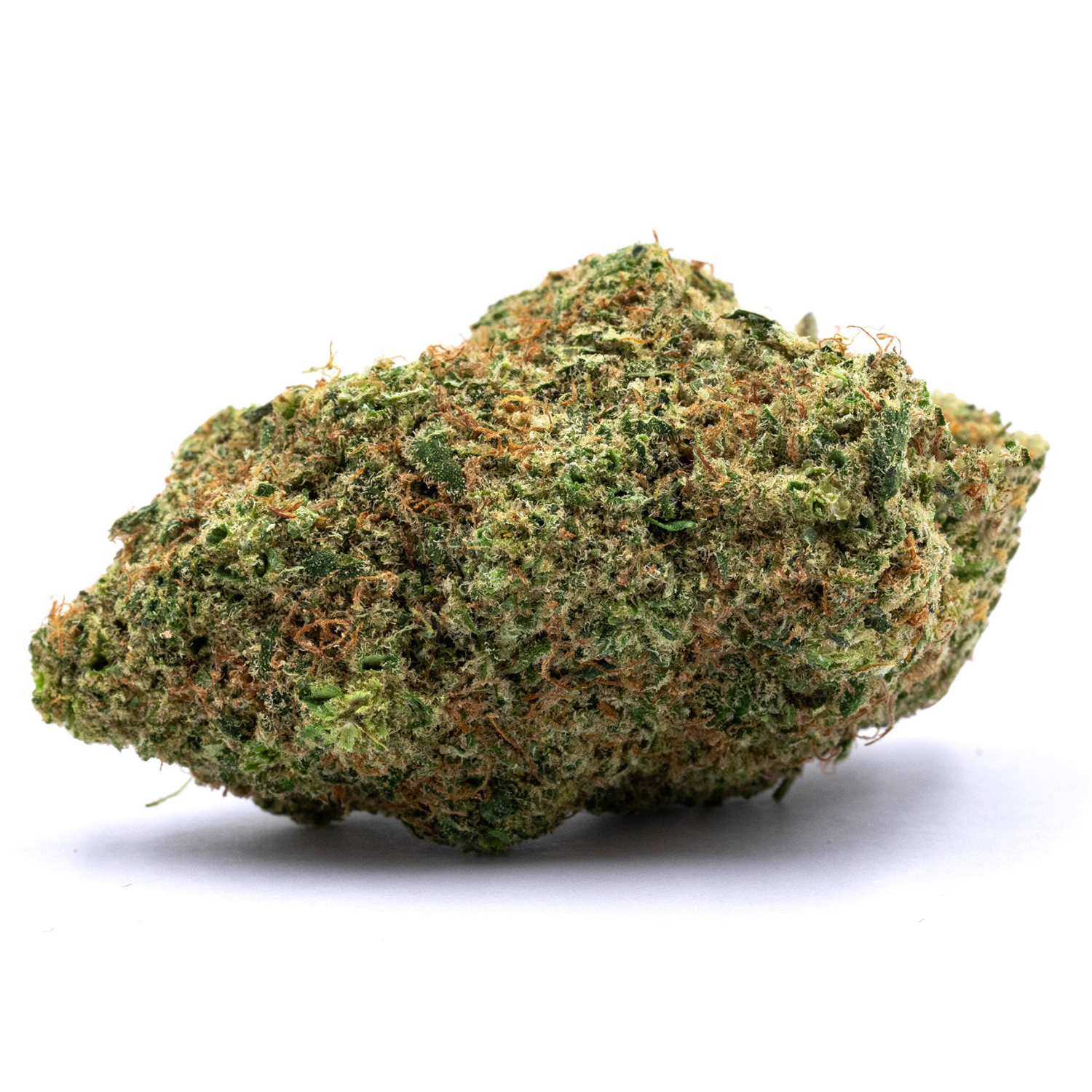 COOKIE GELATO - AMSTERDAM GENETICS - Stormrock