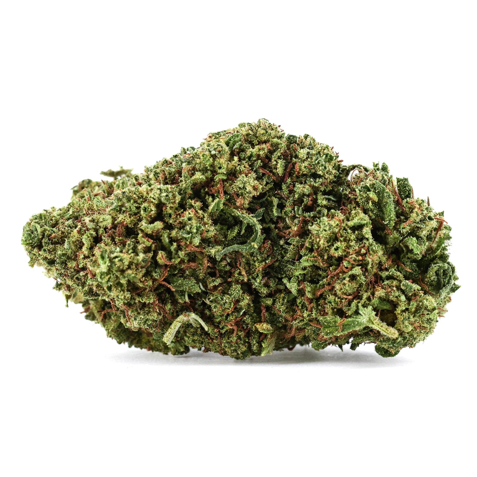 10G KALI HAZE (🇯🇲 JAMAICAN GENETICS) - OPS - Stormrock