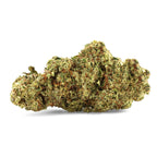 ACAPULCO GOLD (CALIFORNIA GENETICS) - Stormrock