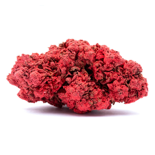 DEVIL'S HARVEST
