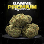 LA CONFIDENTIAL - SMALL BUD - Stormrock