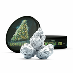 CRYSTAL FIR - CALIBOX - Stormrock