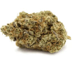 SUPER SKUNK - Stormrock